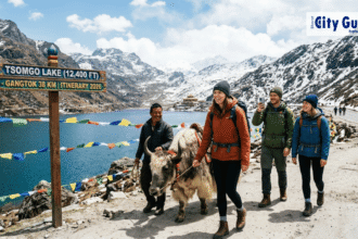 Gangtok & Tsomgo Lake Day Itinerary 2026