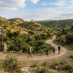 Examining How Rajkot’s Hingolgarh Nature Education Sanctuary Became an Eco-Icon