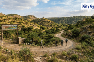 Examining How Rajkot’s Hingolgarh Nature Education Sanctuary Became an Eco-Icon