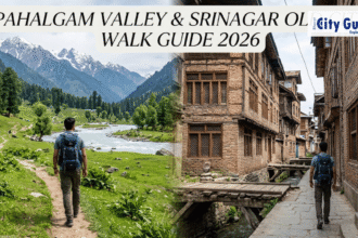 Pahalgam Valley & Srinagar Old City Walk Guide 2026