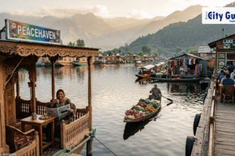 Srinagar Slow Day Houseboat Morning, Markets & Cafés 2026