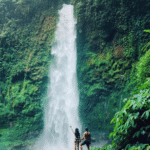 Ubud Monkey Forest, Holy Water Temple & Rice Terrace Tour The Ultimate Bali Day Experience