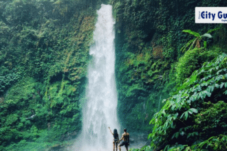 Ubud Monkey Forest, Holy Water Temple & Rice Terrace Tour The Ultimate Bali Day Experience