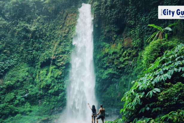 Ubud Monkey Forest, Holy Water Temple & Rice Terrace Tour The Ultimate Bali Day Experience