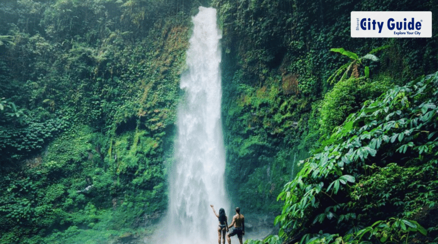 Ubud Monkey Forest, Holy Water Temple & Rice Terrace Tour The Ultimate Bali Day Experience