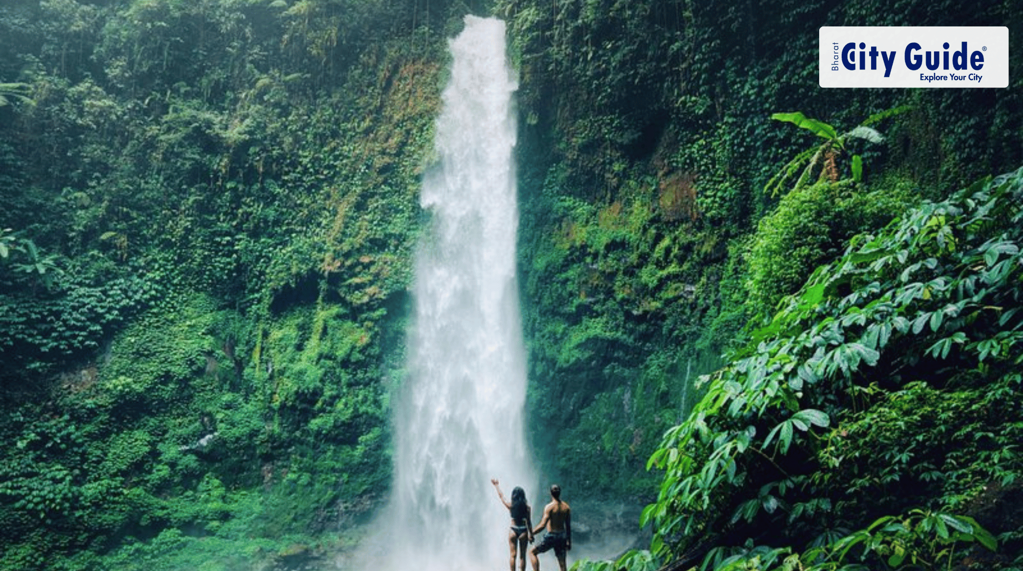 Ubud Monkey Forest, Holy Water Temple & Rice Terrace Tour The Ultimate Bali Day Experience