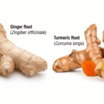 Turmeric Ginger Functional Foods India Transforming Everyday Nutrition Naturally