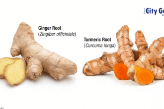 Turmeric Ginger Functional Foods India Transforming Everyday Nutrition Naturally