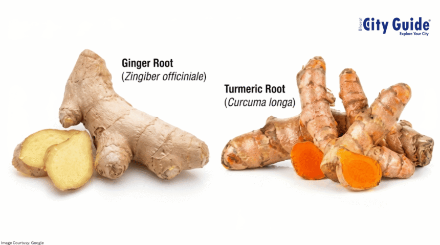 Turmeric Ginger Functional Foods India Transforming Everyday Nutrition Naturally