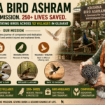 Krishna Bird Ashram How a Visionary Teacher Transformed Her Bike into a Bird Ambulance and Rescued 250+ Avian Lives Across 52 Villages