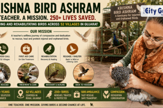Krishna Bird Ashram How a Visionary Teacher Transformed Her Bike into a Bird Ambulance and Rescued 250+ Avian Lives Across 52 Villages