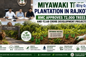Miyawaki Tree Plantation in Rajkot RMC Approves 72,000 Trees and ₹2.68 Crore Development Projects