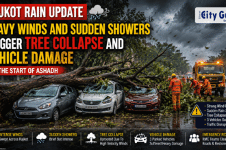 Rajkot Rain Update Heavy Winds And Sudden Showers Trigger Tree Collapse And Vehicle Damage At The Start of Ashadh