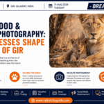 Gir Lion Motherhood & Wildlife Photography: How Lionesses Shape the Kings of Gir