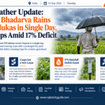 Gujarat Weather Update: Widespread Bhadarva Rains Lash 259 Talukas in Single Day, Reviving Crops Amid 17% Deficit