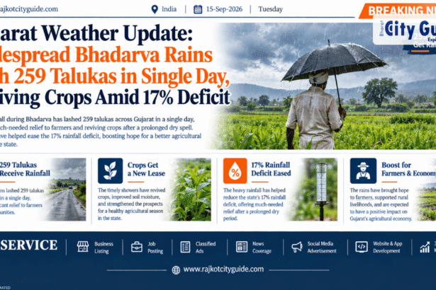 Gujarat Weather Update: Widespread Bhadarva Rains Lash 259 Talukas in Single Day, Reviving Crops Amid 17% Deficit